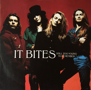 It Bites - Still Too Young To Remember (12") (VG+/VG)