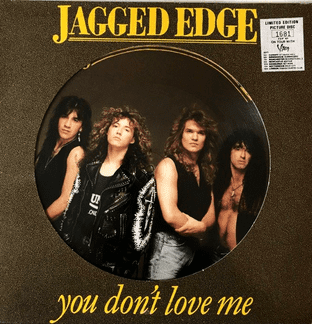 Jagged Edge - You Don't Love Me (12") (Picture Disc) (EX/VG-)