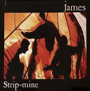 James ‎- Strip-mine (LP) (EX/EX)