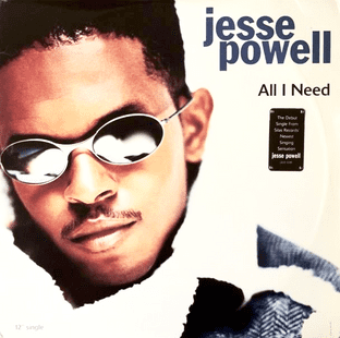 Jesse Powell - All I Need (12") (VG+/VG)