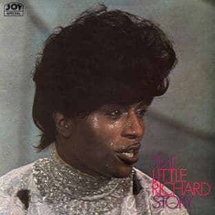 Little Richard - The Little Richard Story (LP) (EX/VG+)