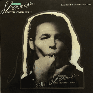MARK SHAW - Under Your Spell (7") (Shaped Picture Disc) (VG+/VG+)