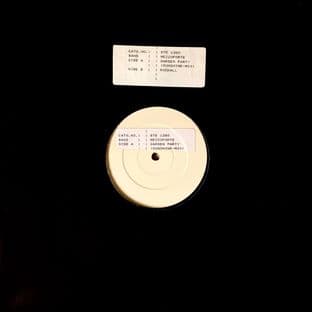 Mezzoforte - Garden Party (Sunshine Mix) (12") (Promo) (VG+/NM)