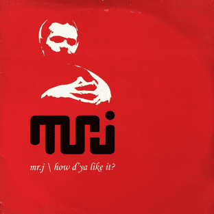 Mr. J - How D'Ya Like It? (12") (VG/G+)