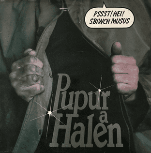 Papur A Halen - Papur A Halen (LP) (EX-/G++)