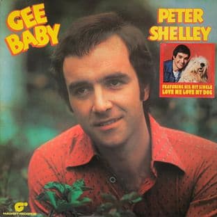 Peter Shelley - Gee Baby (LP) (VG/VG)
