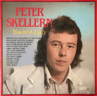 Peter Skellern - You're A Lady (LP) (EX/VG)