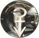 Prince - Thieves In The Temple (12