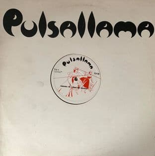 Pulsallama - Ungawa Pt. II (Way Out Guiana) (12") (G-VG/G-VG)