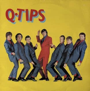 Q-Tips ‎- Q-Tips (LP) (1st Pressing) (VG/VG)