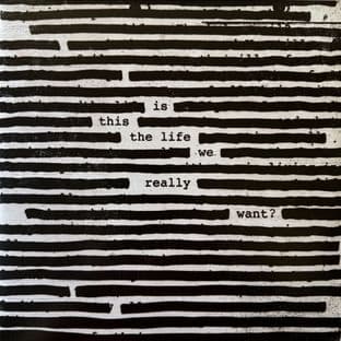 Roger Waters - Is This The Life We Really Want? (LP) (NM/NM)
