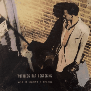 Ruthless Rap Assassins - And It Wasn't A Dream (12") (G/VG+)