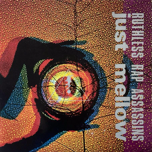 Ruthless Rap Assassins - Just Mellow (12") (G-VG/VG+)