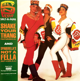 Salt 'N' Pepa - Shake Your Thang (ft EU) (12") (VG/VG+)