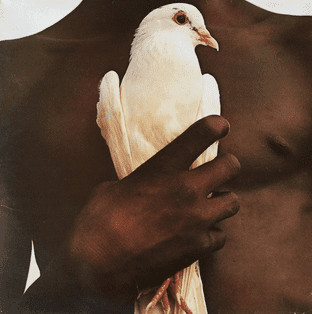 Santana - Santana's Greatest Hits (LP) (VG++/G+)