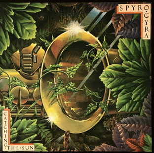 Spyro Gyra ‎- Catching The Sun (LP) (VG-/VG-)