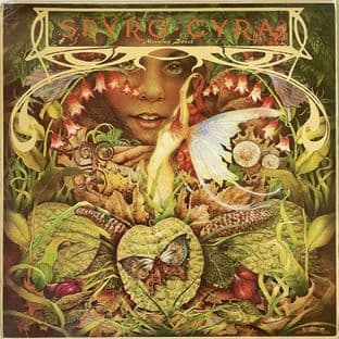 Spyro Gyra - Morning Dance (LP) (VG/G-VG)