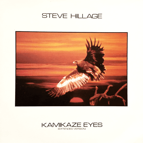 Steve Hillage - Kamikaze Eyes (12
