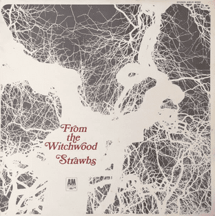 Strawbs - From The Witchwood (LP) (VG+/VG)