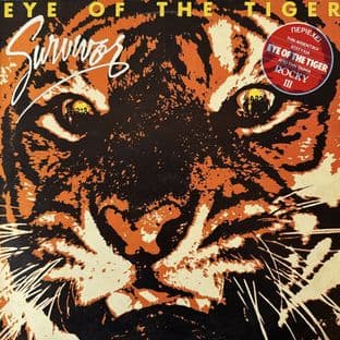 Survivor - Eye Of The Tiger (LP) (VG-/VG-)