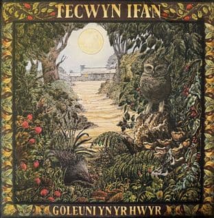 Tecwyn Ifan - Goleuni Yn Yr Hwyr (LP) (VG/VG)
