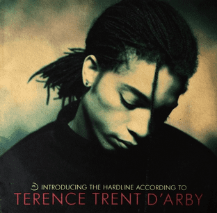 Terence Trent D'Arby - Introducing The Hardline According To... (LP) (VG-/G-VG)