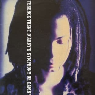 Terence Trent D'Arby - Terence Trent D'Arby's Symphony Or Damn (1993 LP) (VG/VG)