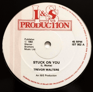 Trevor Walters - Stuck On You (12") (VG+/M)