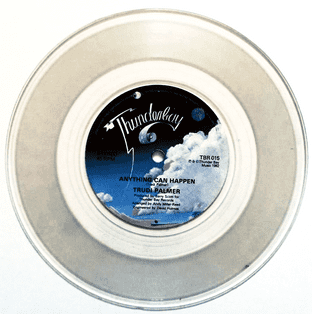 Trudi Palmer - Anything Can Happen (7") (Clear Vinyl) (VG+/NM)