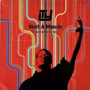 Ty ‎- Wait A Minute (Original & Dwele Remix) (12") (G++/VG-)