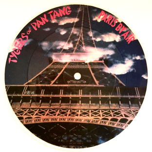 Tygers Of Pan Tang - Paris By Air/Love's A Lie (7") (Picture Disc) (VG/VG)