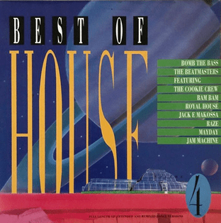 V/A - Best Of House Volume 4 (LP) (EX-/VG)