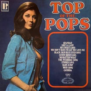 V/A - Top Of The Pops Volume 15 (LP) (VG/VG-)