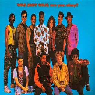 Was (Not Was) - Are You Okay? (LP) (G-VG/VG)