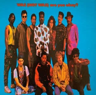 Was (Not Was) - Are You Okay? (LP) (VG-/VG)