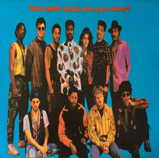Was (Not Was) - Are You Okay? (LP) (VG/VG++)