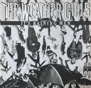 Weather Girls (The) - It's Raining Men (12") (VG-/VG)