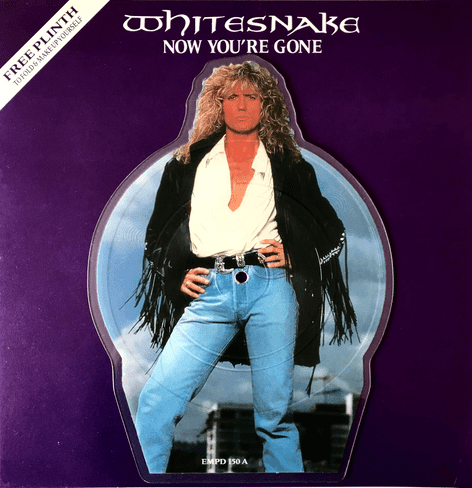 Whitesnake - Now You're Gone (7