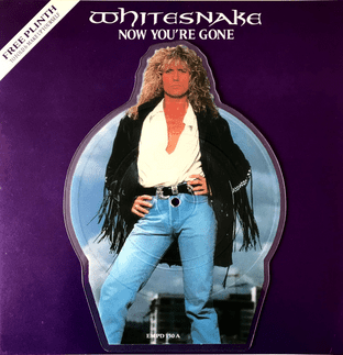 Whitesnake - Now You're Gone (7") (Shaped Picture Disc) (VG-/VG)