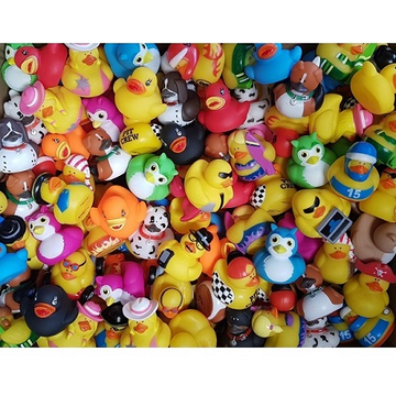 100 Novelty Rubber Ducks Assortment (5cm)