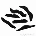 Wholesale  Fancy Dress | Black Stick on Fancy Dress Party Moustache | Dress Up Accessory
