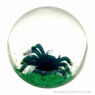 Bouncy Light Up Reptile Ball - 2 Assorted (6.5cm)