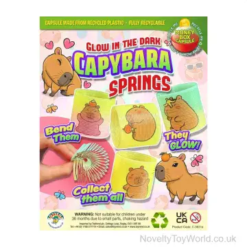Capybara Slinky Coil Spring Toy - 55mm Vending Capsule