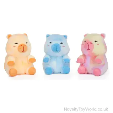 Colourful Capybara Japanese Cute Kawaii Plushie (20cm)