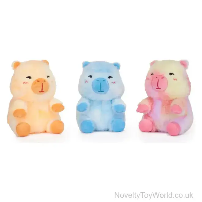 Colourful Capybara Japanese Cute Kawaii Plushie (20cm) | Bulk Buy
