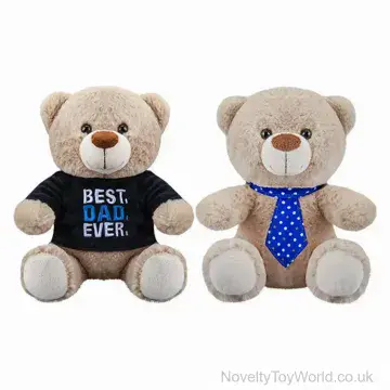 Father's Day Teddy Bear 2 Assorted (20cm)
