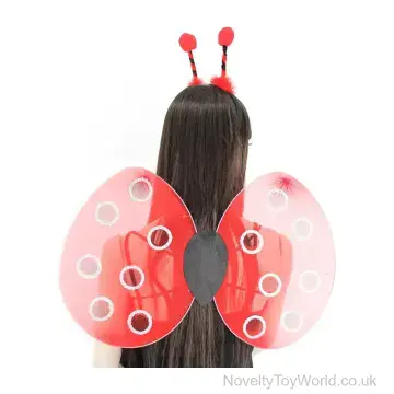 Girl's Ladybird Wing & Bopper Set (50cm)
