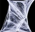 Wholesale | Spider Web & Spider Halloween Decoration | Scary Novelties UK