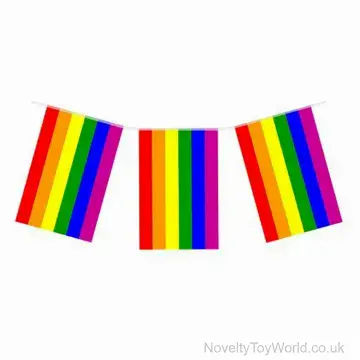 LGBTQ+ Pride Flag Rainbow Bunting (10m) 20 Flags (16cm x 24cm)
