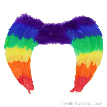 Pride Adult Angel Wings (44cm x 34cm)